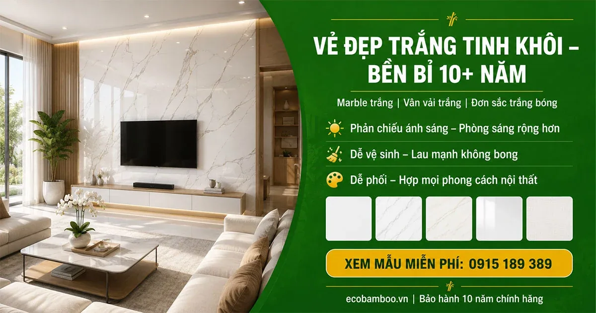 Không gian ốp tấm màu trắng sáng sủa của Eco Bamboo