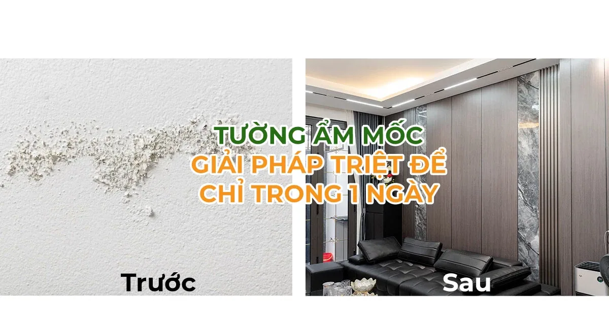 Tường Ẩm Mốc – Xử Lý Triệt Để Bằng Tấm Ốp Chống Ẩm 2026