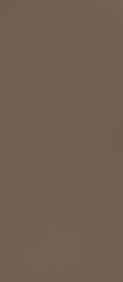 Tấm ốp than tre Eco Bamboo mã EB58003 — vân cả tấm