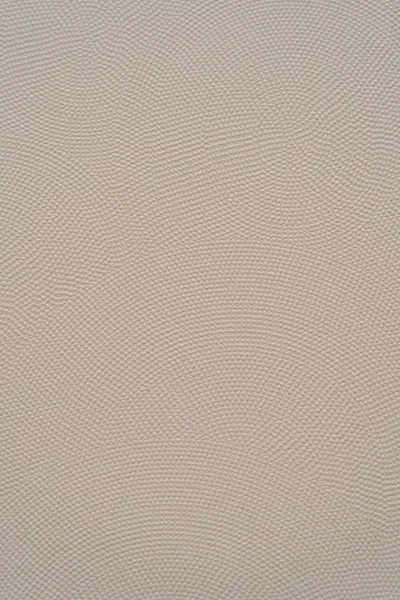 Tấm ốp than tre Eco Bamboo mã EB58005