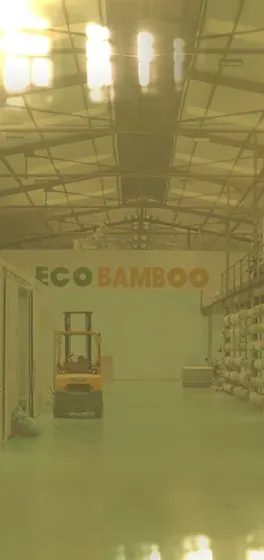 88003 gương vàng – Eco Bamboo